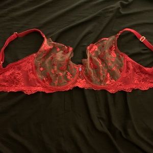 34H Honey Birdette Whitney bra in red